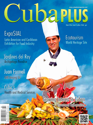 A Taste of the Island: Exploring the Soul of the Cuban Bistro