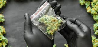 weed