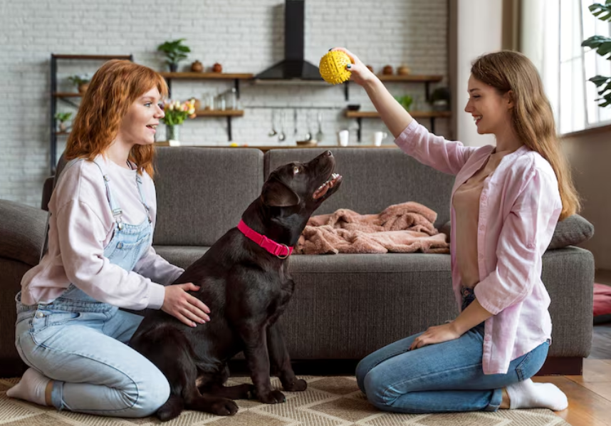 Dog Introduction to New Sitter Tips and Hurricane Pet Safety Tips: A Complete Guide for Responsible Pet Owners